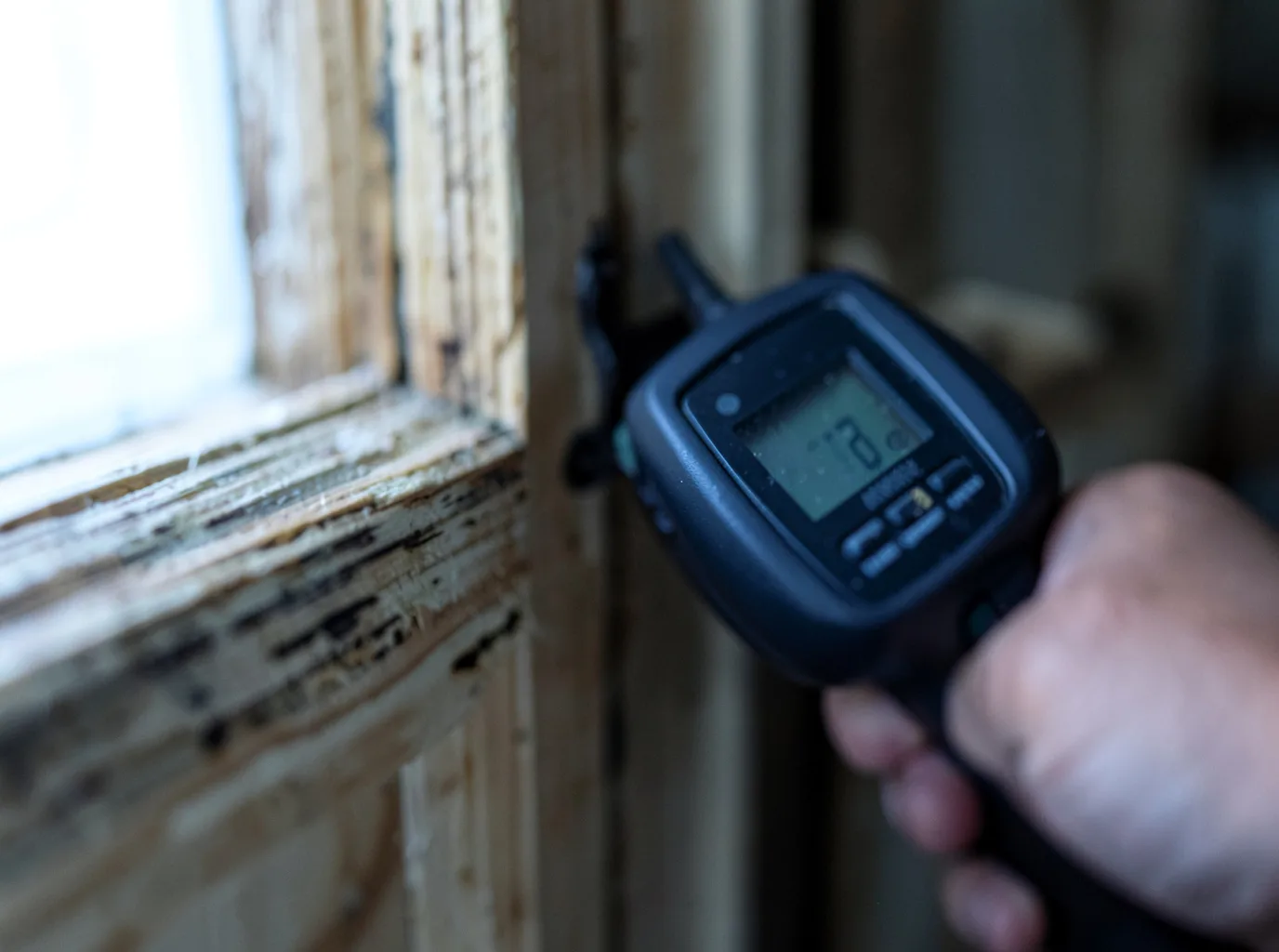 Moisture Inspection And Documentation in Malta, ID